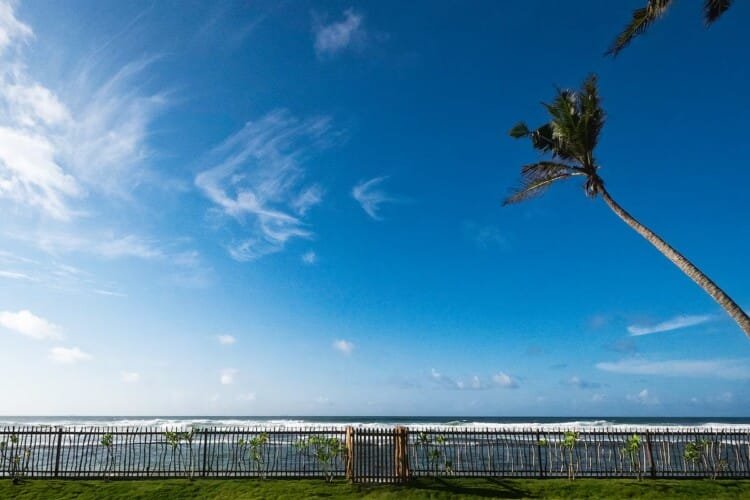 Tea Tree Surf Beachfront Villa Ahangama Kabalana Beach