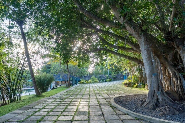 Top Notch Villas in Sri Lanka Monara Villa Tangalle Hiriketiya Surf Safari