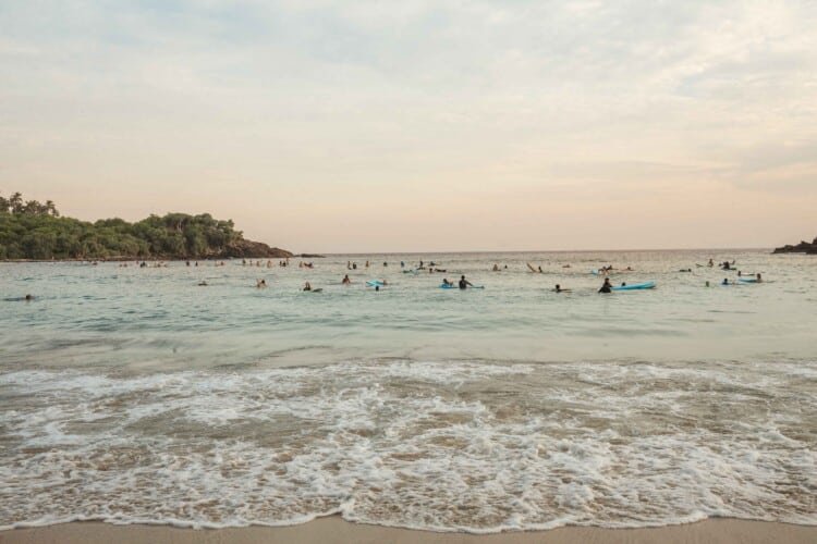Top Notch Villas in Sri Lanka Nilwella Palms Beach Villa Dikwella