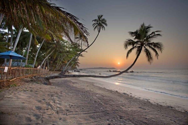Top Notch Villas in Sri Lanka Nilwella Palms Beach Villa Dikwella