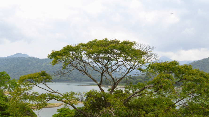 Top Notch Villas in Sri Lanka The Glasshouse Victoria Kandy Villas in Kandy