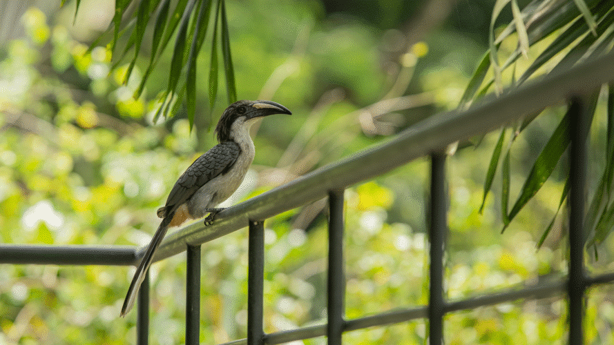 Top Notch Villas in Sri Lanka The Glasshouse Victoria Kandy Villas in Kandy